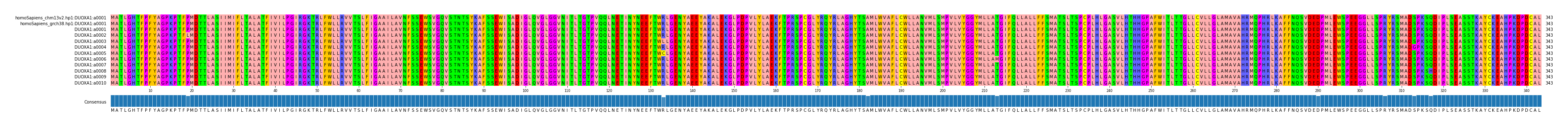 Multiple Alignments (by translate haplotype frequency)