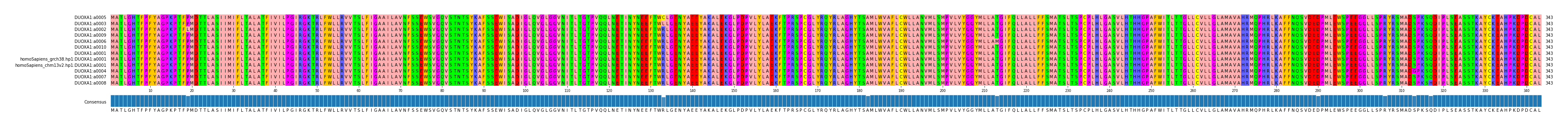 Multiple Alignments (by translate haplotype similarity)