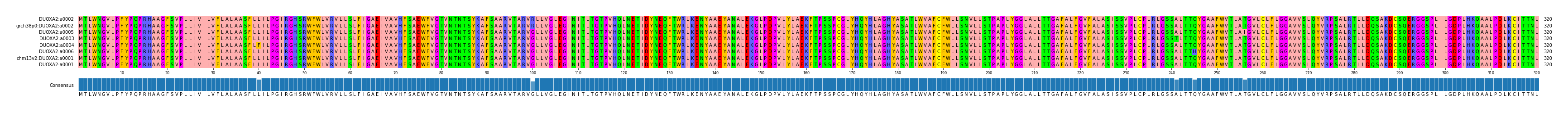 Multiple Alignments (by translate haplotype similarity)