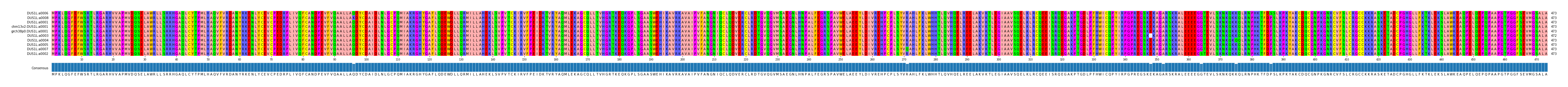 Multiple Alignments (by translate haplotype similarity)