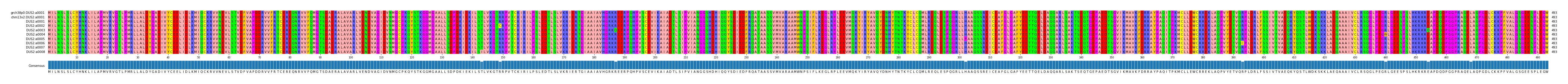 Multiple Alignments (by translate haplotype frequency)