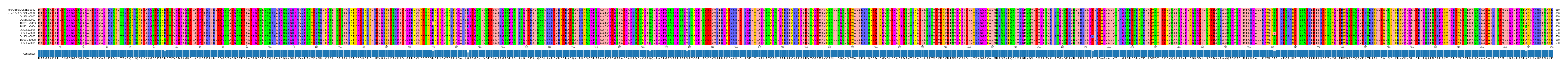 Multiple Alignments (by translate haplotype frequency)
