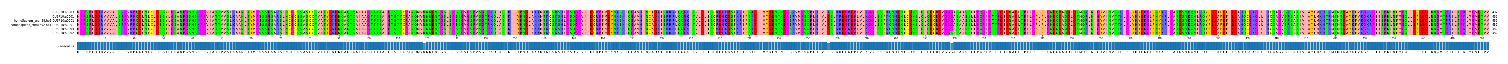 Multiple Alignments (by translate haplotype similarity)