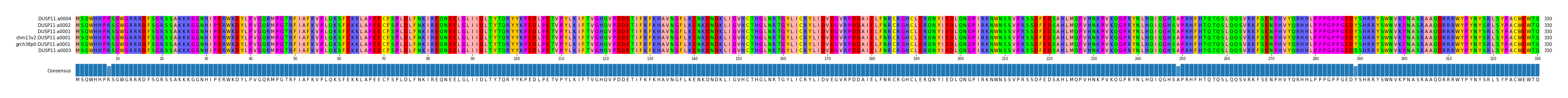 Multiple Alignments (by translate haplotype similarity)