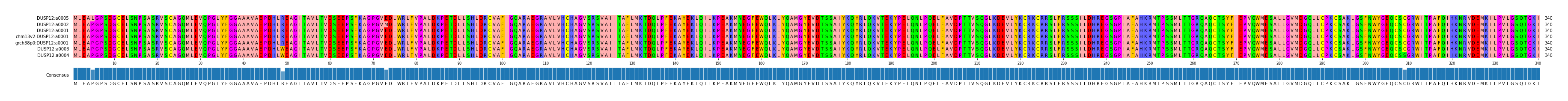 Multiple Alignments (by translate haplotype similarity)
