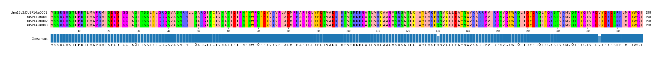 Multiple Alignments (by translate haplotype frequency)