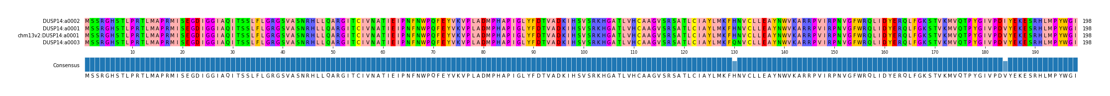 Multiple Alignments (by translate haplotype similarity)