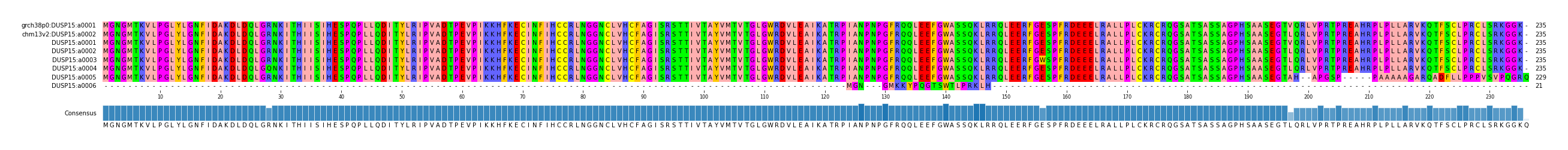 Multiple Alignments (by translate haplotype frequency)