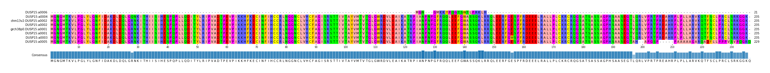 Multiple Alignments (by translate haplotype similarity)