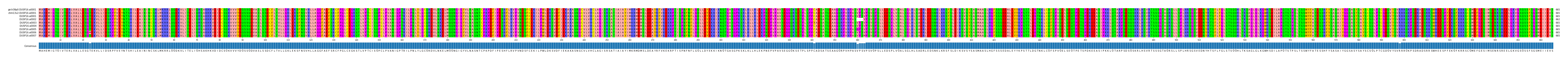 Multiple Alignments (by translate haplotype frequency)
