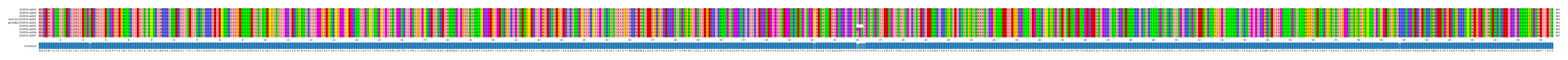 Multiple Alignments (by translate haplotype similarity)