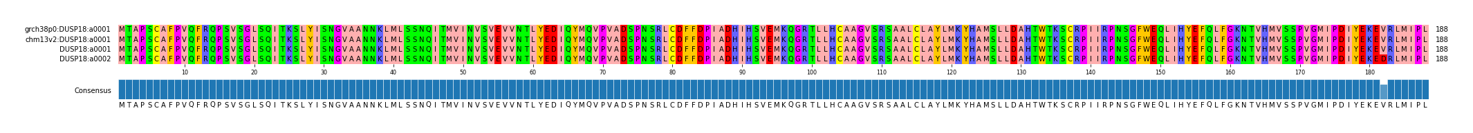 Multiple Alignments (by translate haplotype similarity)
