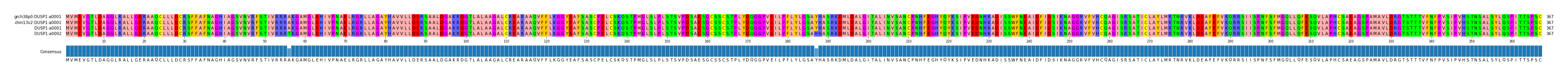 Multiple Alignments (by translate haplotype similarity)