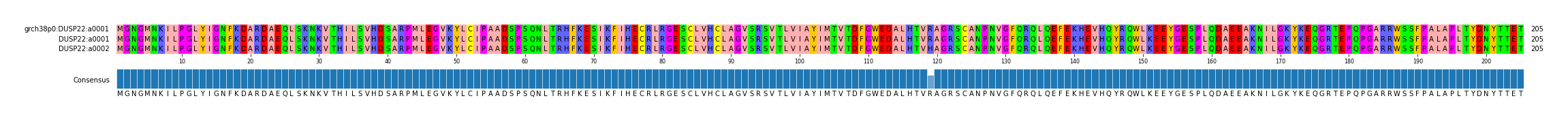 Multiple Alignments (by translate haplotype similarity)