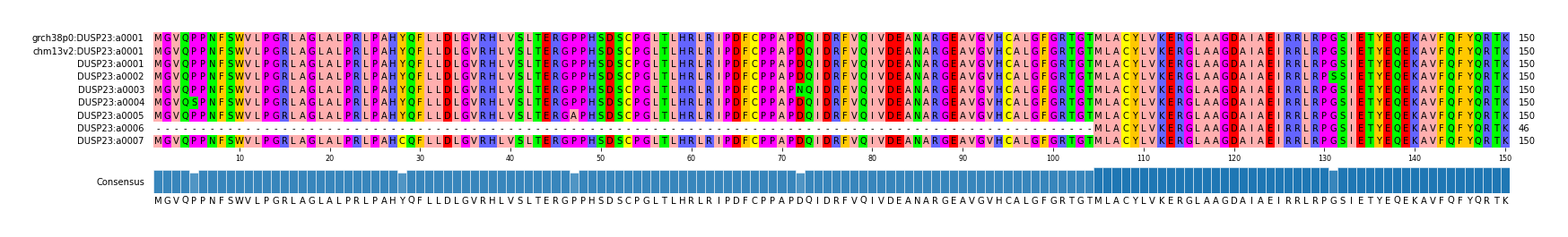 Multiple Alignments (by translate haplotype frequency)