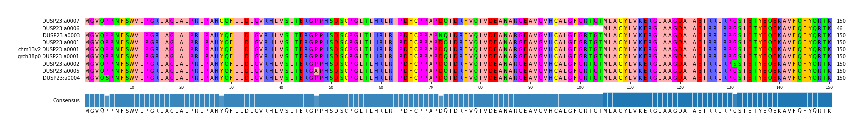 Multiple Alignments (by translate haplotype similarity)