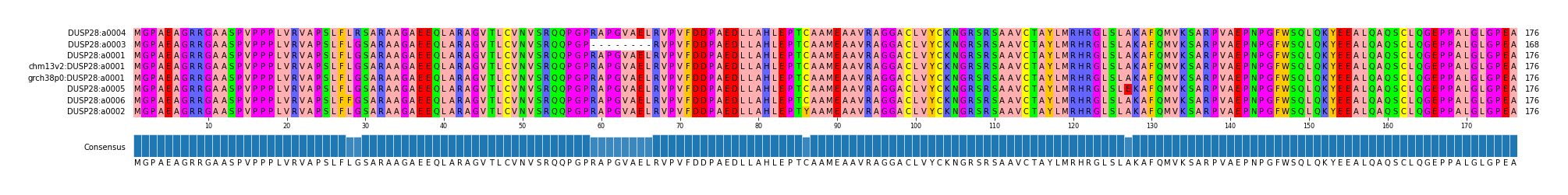 Multiple Alignments (by translate haplotype similarity)