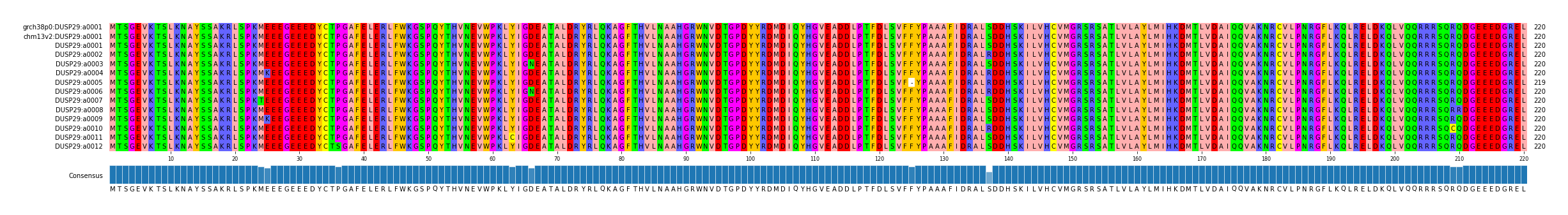Multiple Alignments (by translate haplotype frequency)