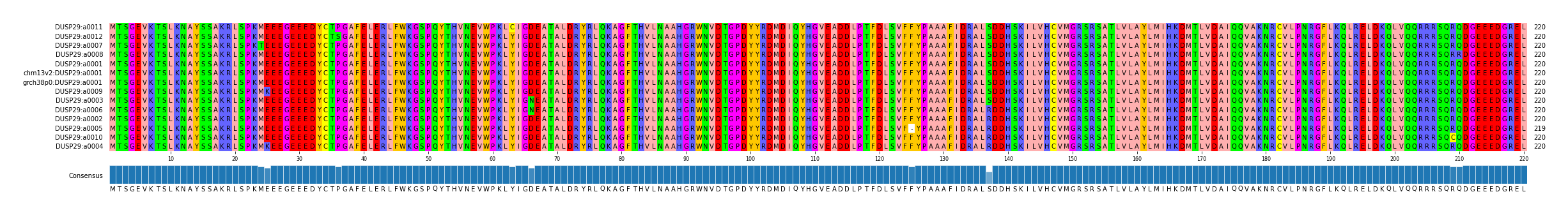 Multiple Alignments (by translate haplotype similarity)