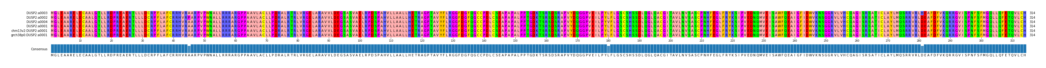 Multiple Alignments (by translate haplotype similarity)
