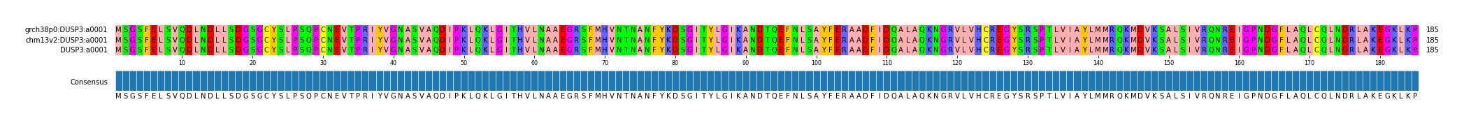 Multiple Alignments (by translate haplotype similarity)