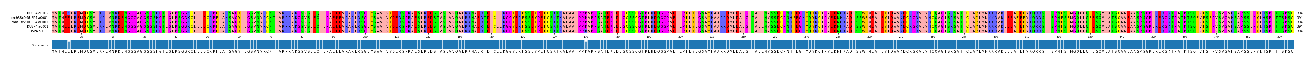 Multiple Alignments (by translate haplotype similarity)