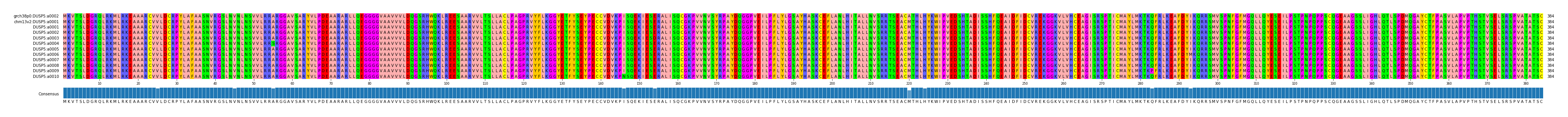 Multiple Alignments (by translate haplotype frequency)