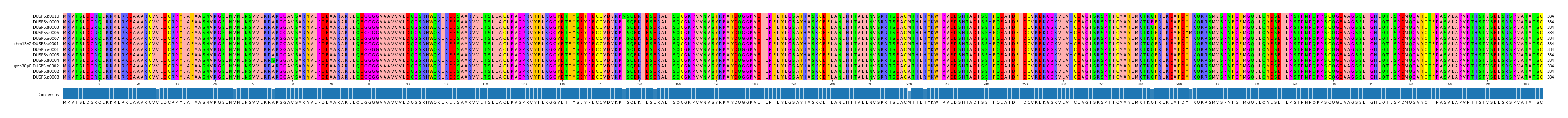 Multiple Alignments (by translate haplotype similarity)