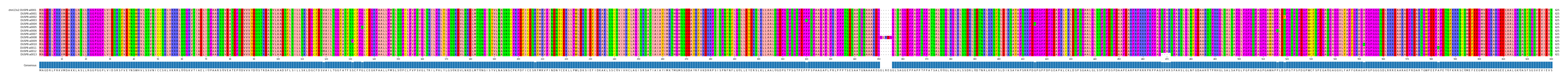 Multiple Alignments (by translate haplotype frequency)
