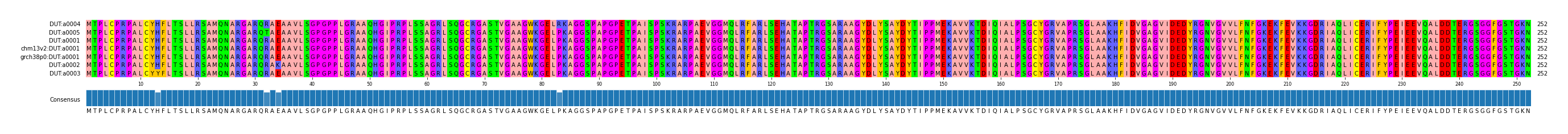 Multiple Alignments (by translate haplotype similarity)