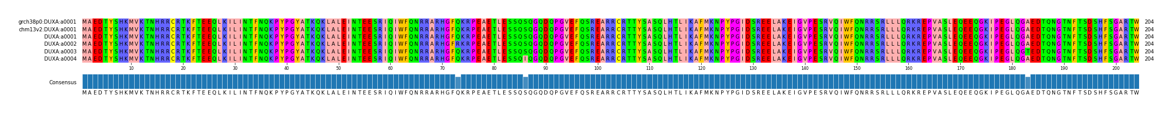 Multiple Alignments (by translate haplotype frequency)