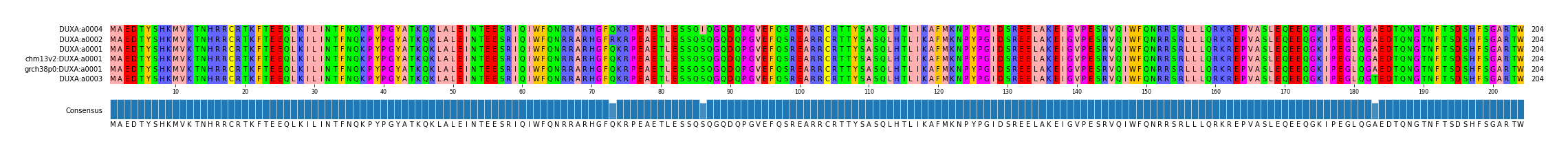 Multiple Alignments (by translate haplotype similarity)