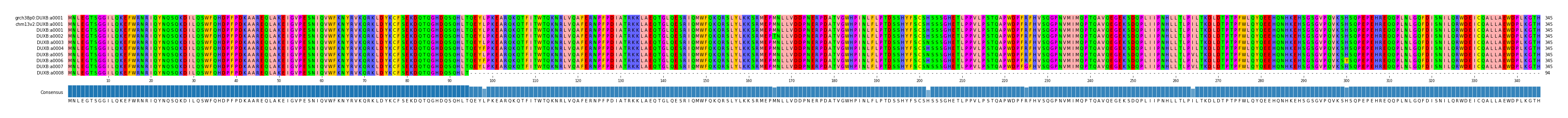 Multiple Alignments (by translate haplotype frequency)