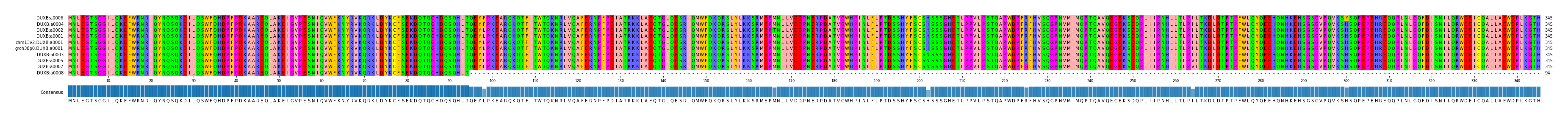 Multiple Alignments (by translate haplotype similarity)