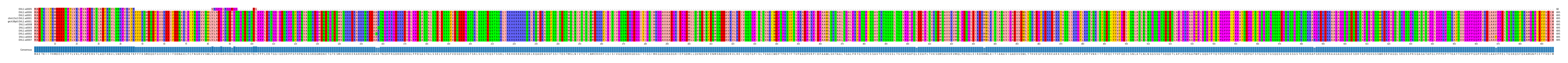 Multiple Alignments (by translate haplotype similarity)