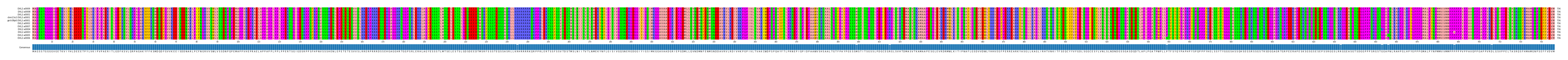 Multiple Alignments (by translate haplotype similarity)