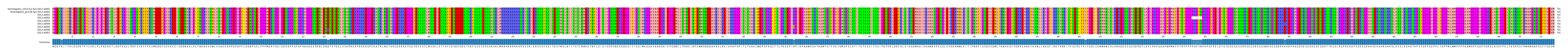 Multiple Alignments (by translate haplotype frequency)