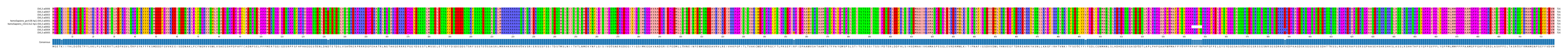 Multiple Alignments (by translate haplotype similarity)