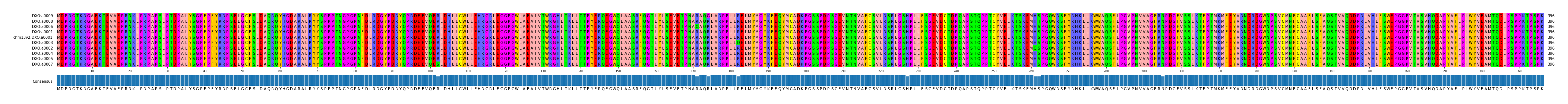 Multiple Alignments (by translate haplotype similarity)