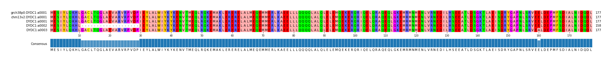 Multiple Alignments (by translate haplotype frequency)