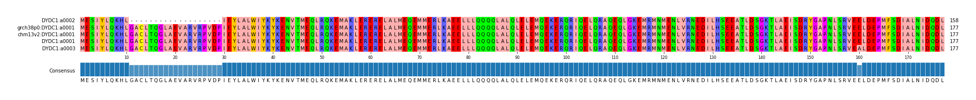 Multiple Alignments (by translate haplotype similarity)