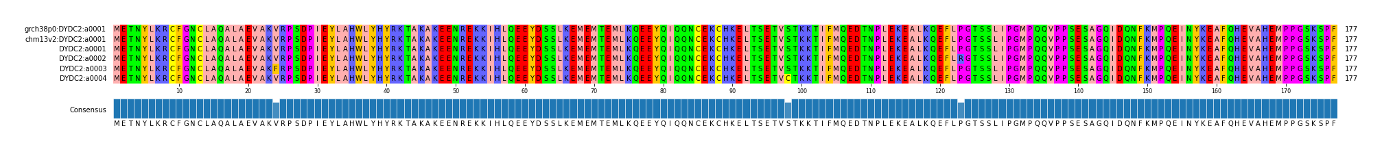 Multiple Alignments (by translate haplotype frequency)