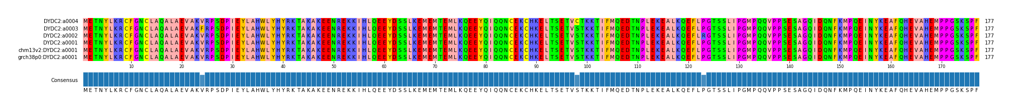Multiple Alignments (by translate haplotype similarity)