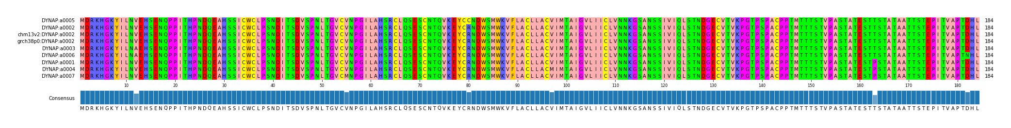 Multiple Alignments (by translate haplotype similarity)