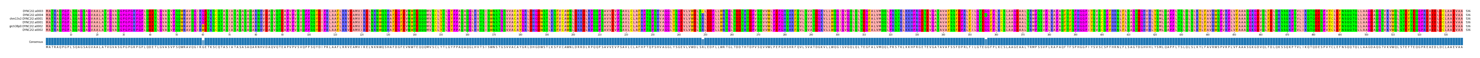 Multiple Alignments (by translate haplotype similarity)
