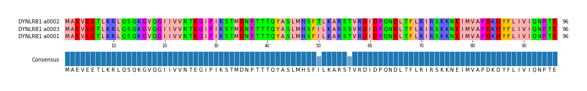 Multiple Alignments (by translate haplotype similarity)