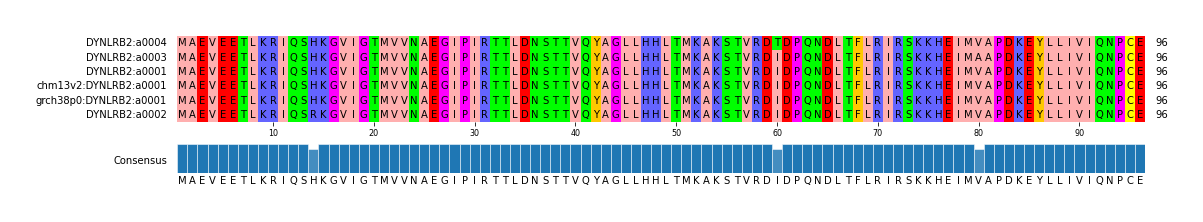 Multiple Alignments (by translate haplotype similarity)