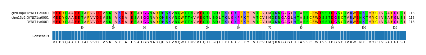 Multiple Alignments (by translate haplotype similarity)