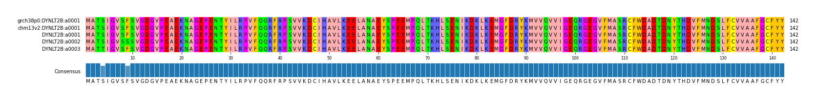 Multiple Alignments (by translate haplotype frequency)