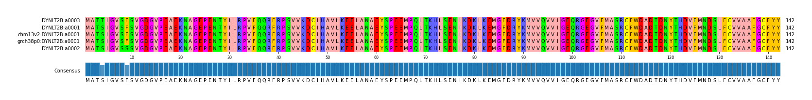 Multiple Alignments (by translate haplotype similarity)
